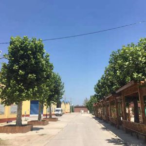 公司廠(chǎng)區